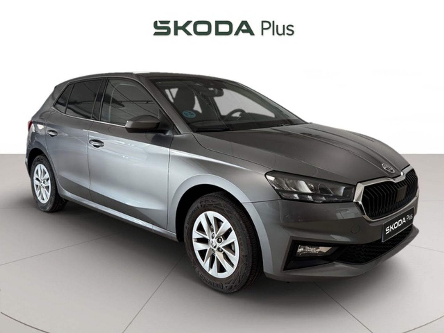 Skoda Fabia 1.0 MPI Selection 59 kW (80 CV) Gris Sedan