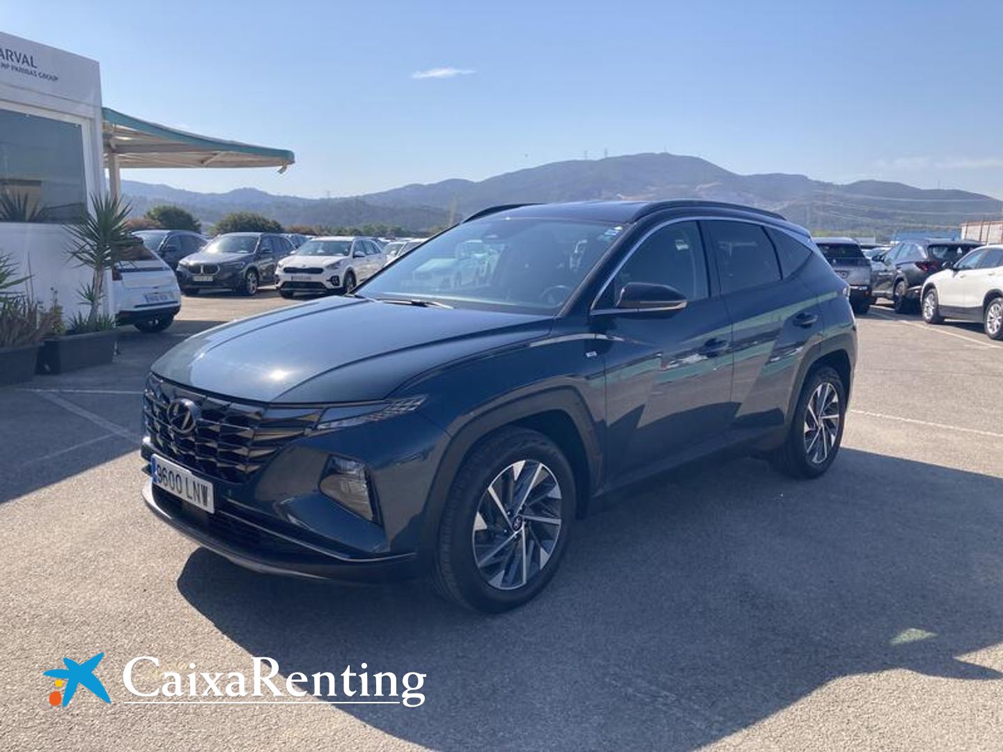 Hyundai Tucson 1.6 TGDI 48V Tecno 2C DCT 110 kW (150 CV) Azul SUV