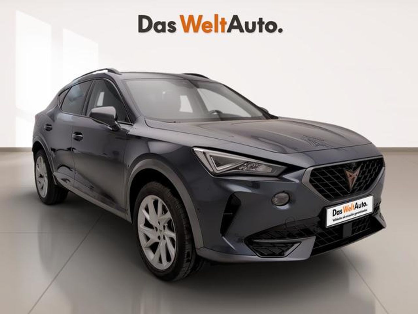 CUPRA Formentor 1.5 TSI DSG 110 kW (150 CV) Gris SUV