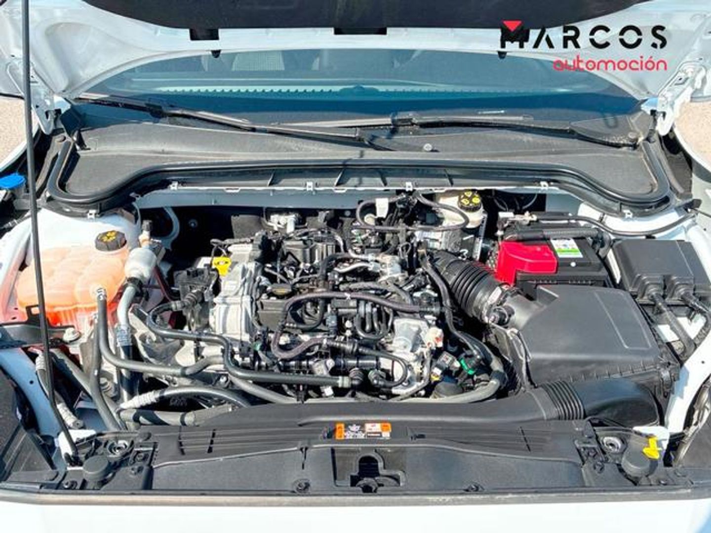 Ford Focus 1.0 Ecoboost ST-Line 92 kW (125 CV)