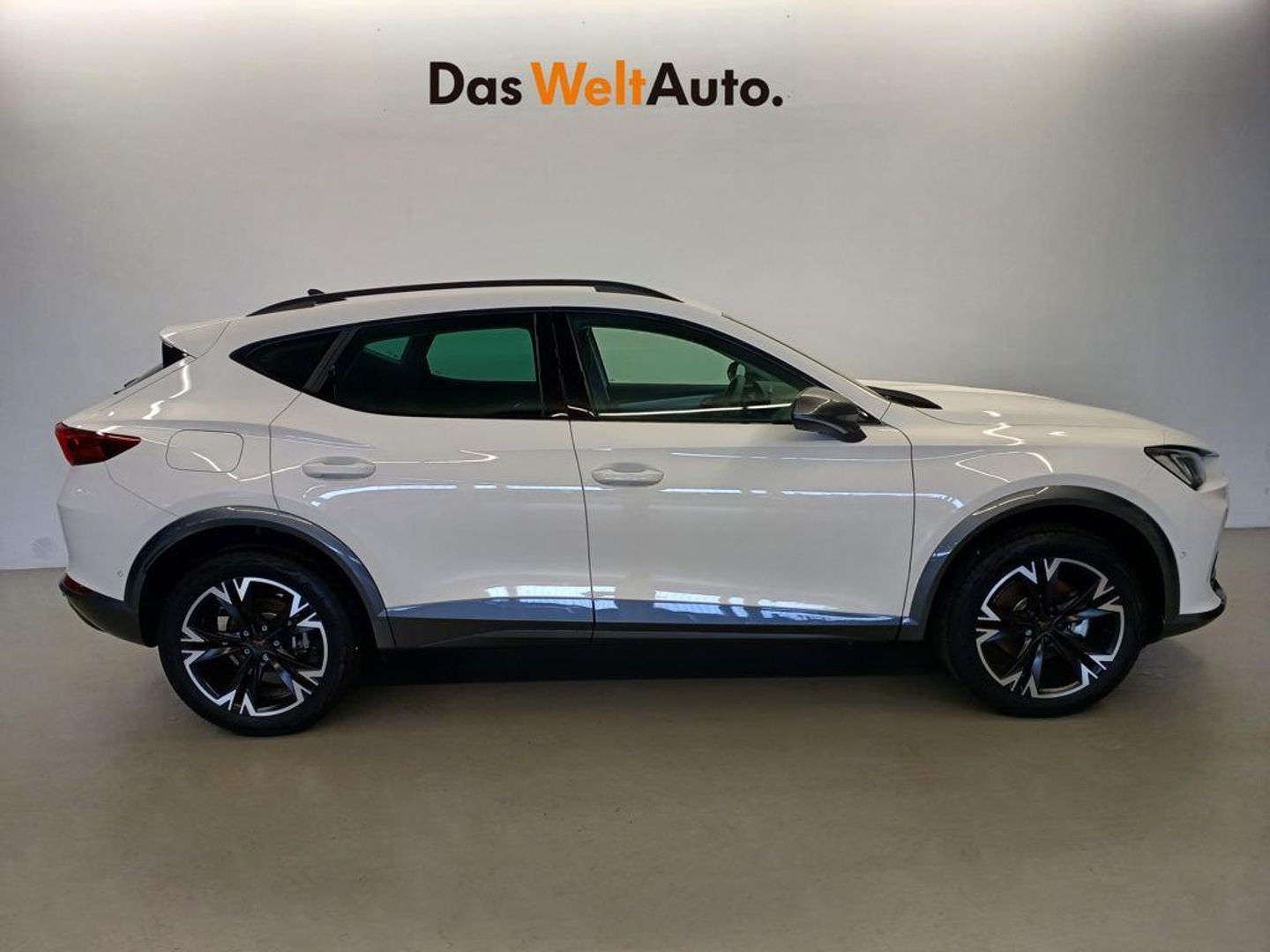 CUPRA Formentor 2.0 TDI 110 kW (150 CV)