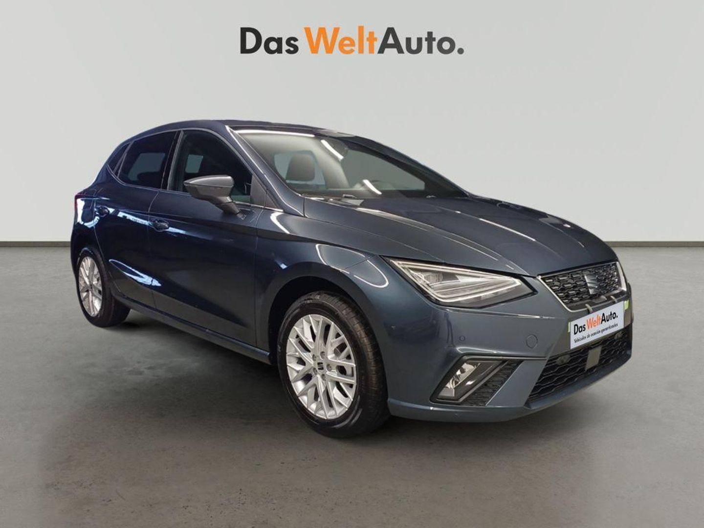 SEAT Ibiza 1.0 TSI Special Edition 85 kW (115 CV) Gris Sedan