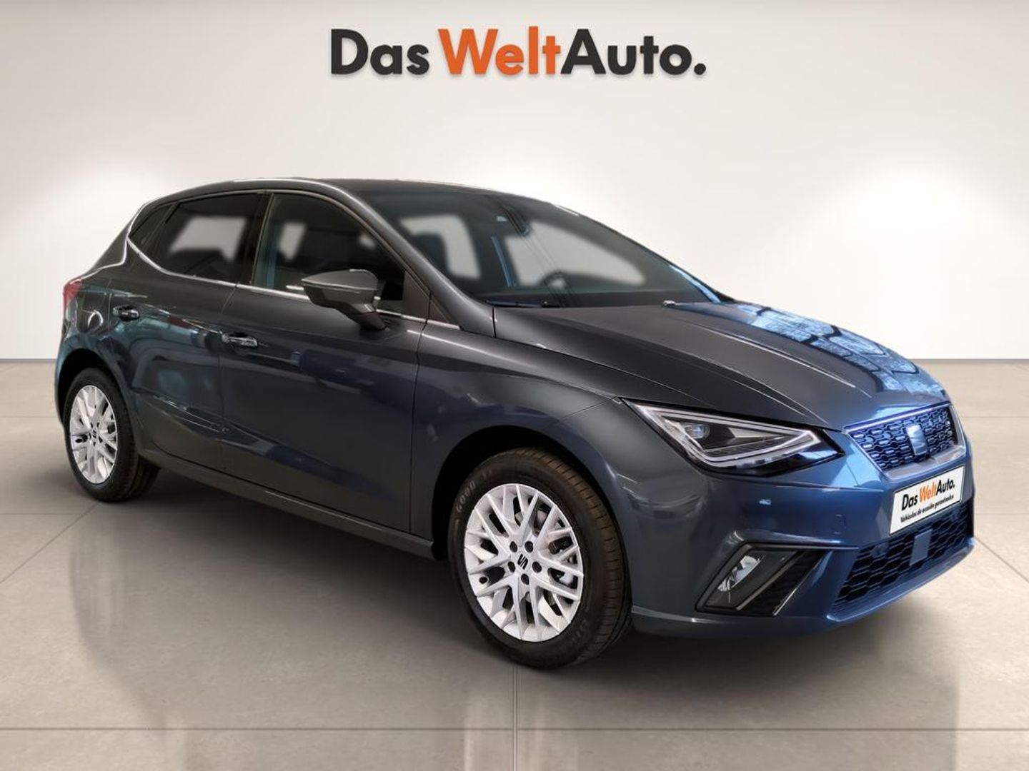 SEAT Ibiza 1.0 TSI Special Edition 85 kW (115 CV) Gris Sedan