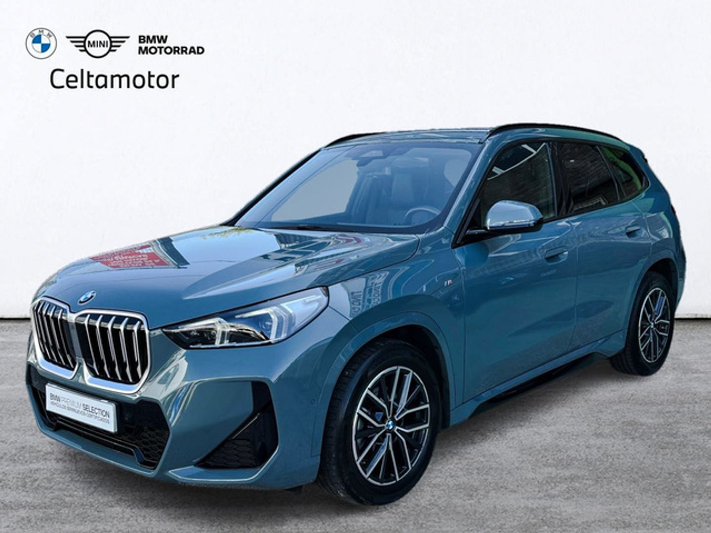 BMW X1 sDrive18d 110 kW (150 CV) Verde SUV