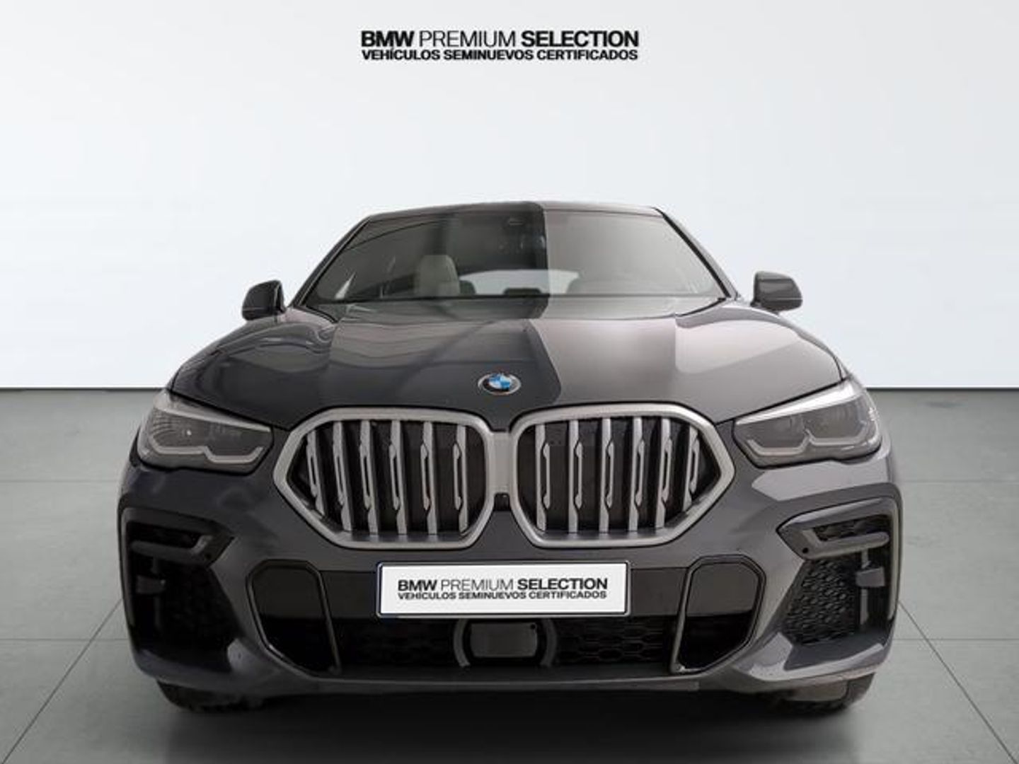 BMW X6 xDrive40d 250 kW (340 CV) Gris SUV