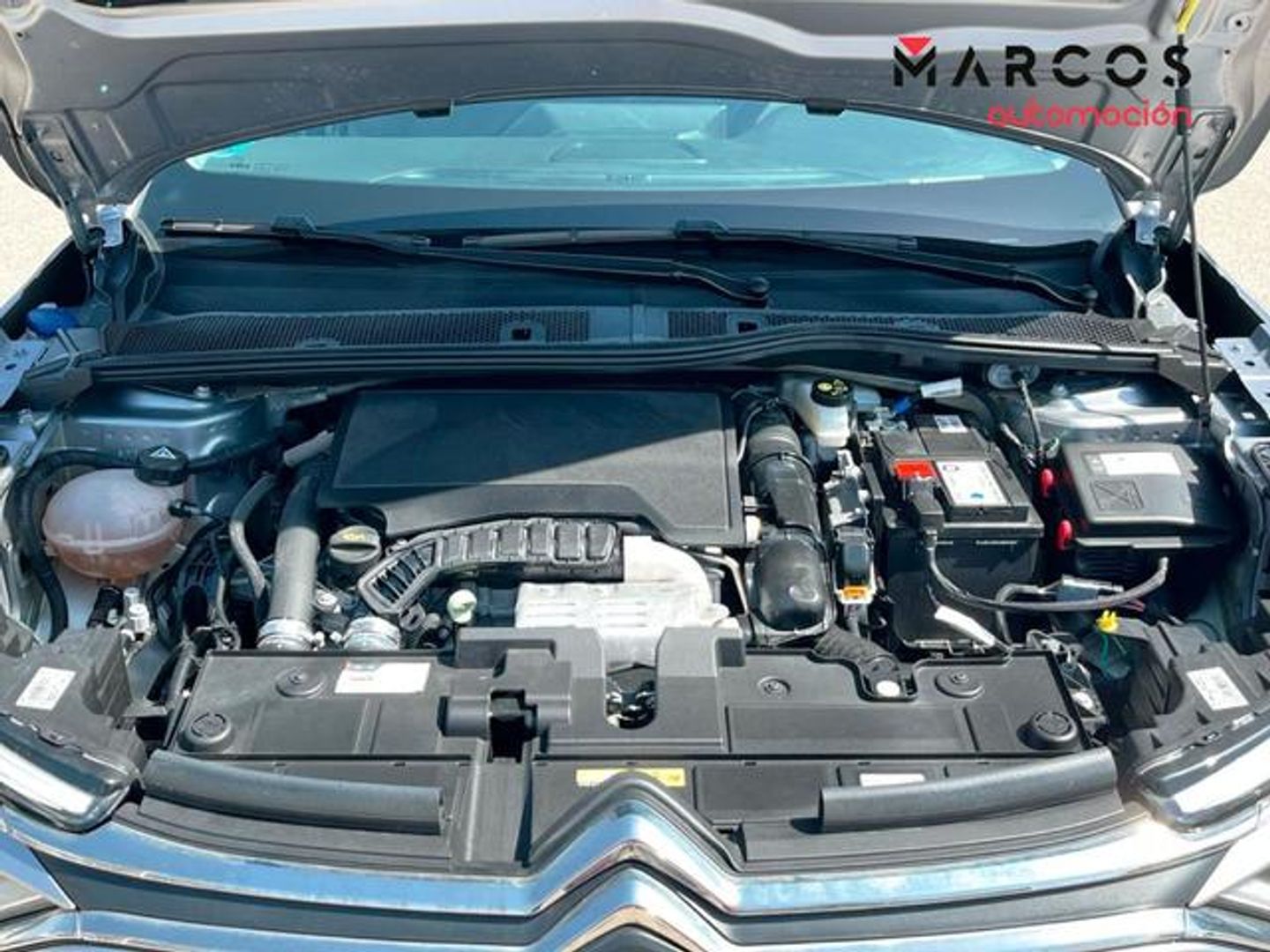 Citroen C4 PureTech 130 S&S Plus EAT8 96 kW (131 CV)