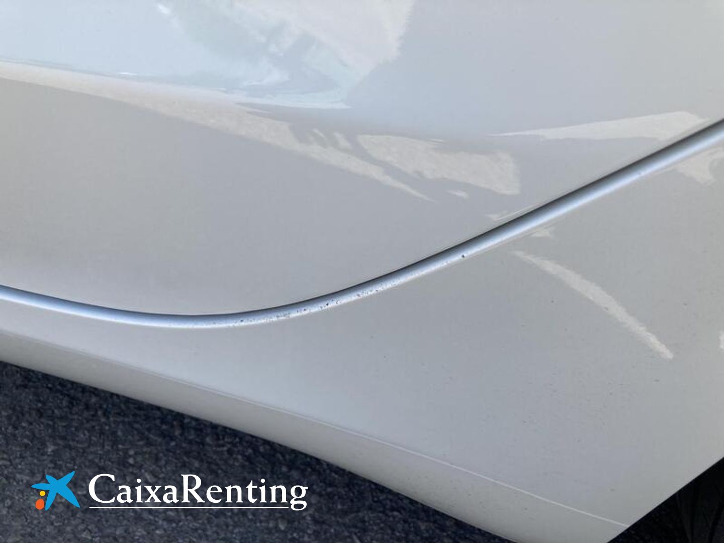 Tesla Model 3 Performance AWD 360 kW (490 CV)