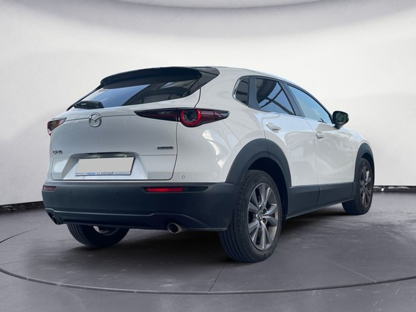 Mazda CX-30 2.0 Skyactiv-G Evolution 2WD 90 kW (122 CV)