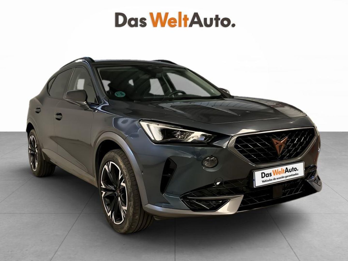 CUPRA Formentor 1.5 TSI DSG 110 kW (150 CV) Gris SUV