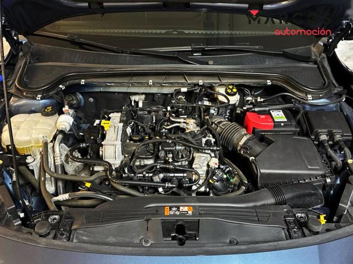 Ford Focus 1.0 Ecoboost MHEV ST-Line X 92 kW (125 CV)