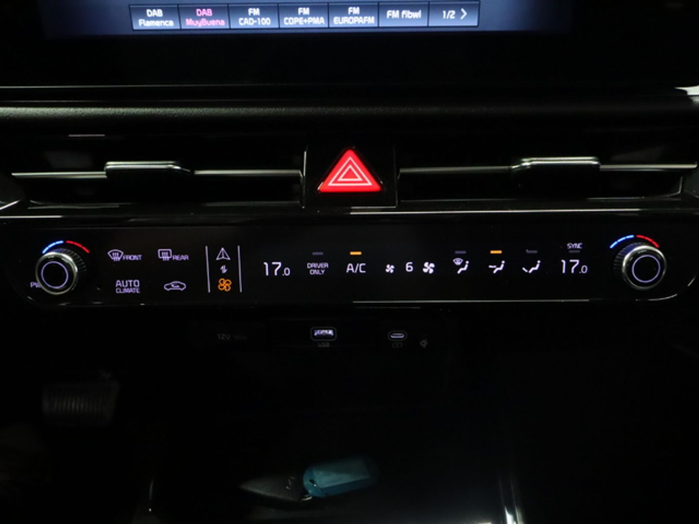 Kia e-Niro e-Niro Winter Edition 150 kW (204 CV)