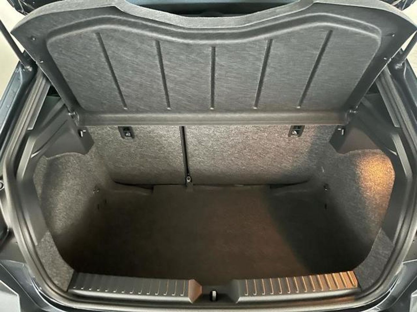 SEAT Ibiza 1.0 TSI Special Edition 85 kW (115 CV)