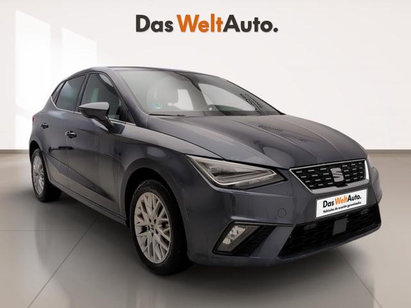 SEAT Ibiza 1.0 TSI Special Edition 85 kW (115 CV) Gris Sedan