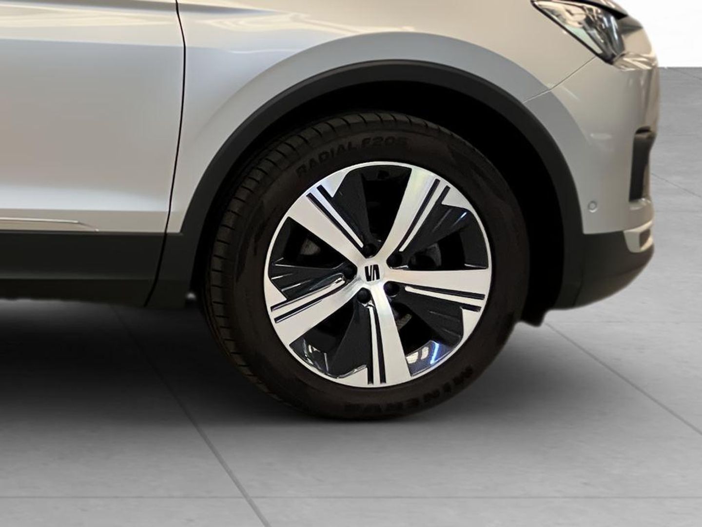 SEAT Tarraco 2.0 TDI S&S Xcellence GO L DSG 110 kW (150 CV)