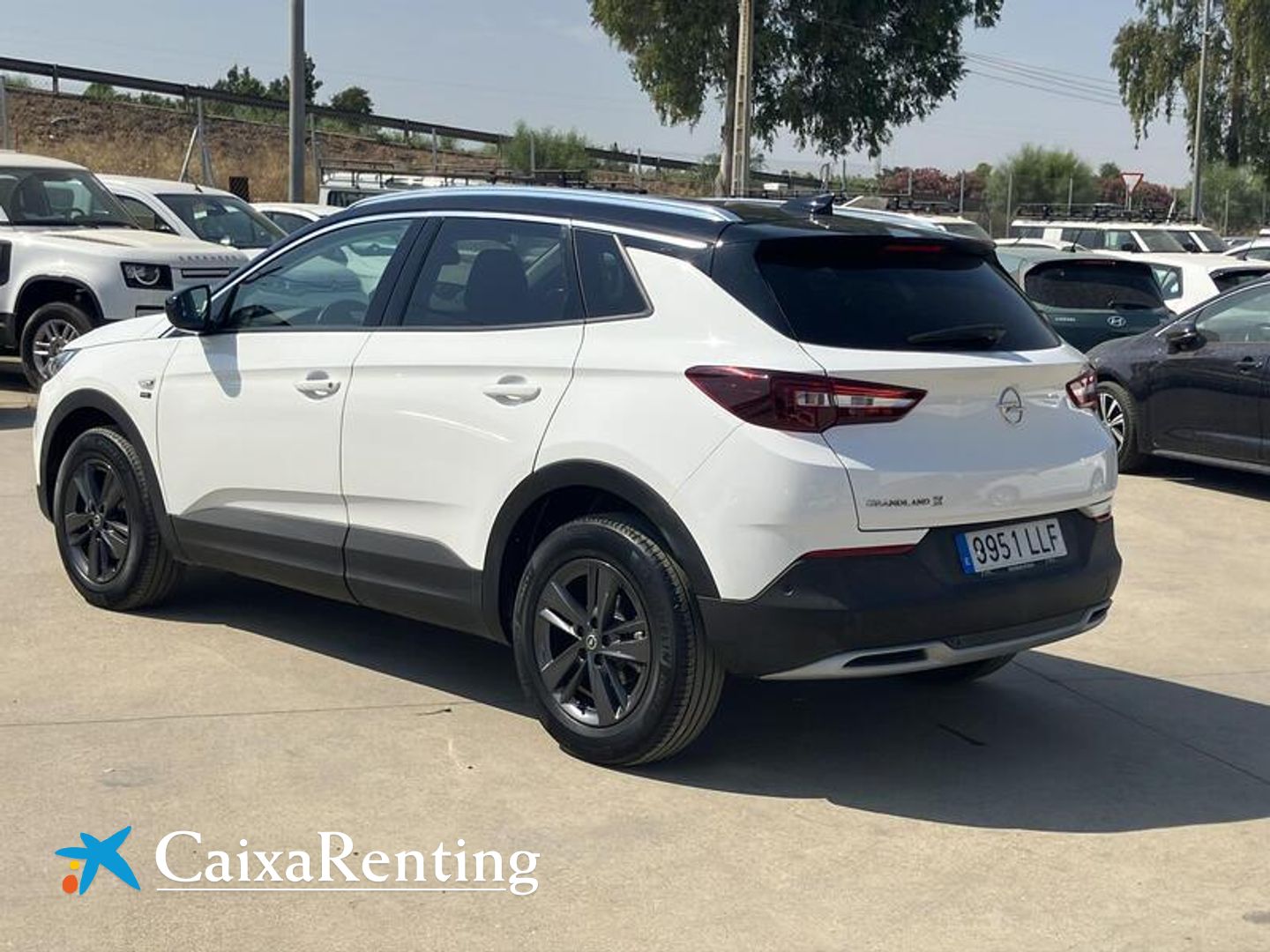 Opel Grandland X 1.5 CDTi Opel 2020 96 kW (130 CV)