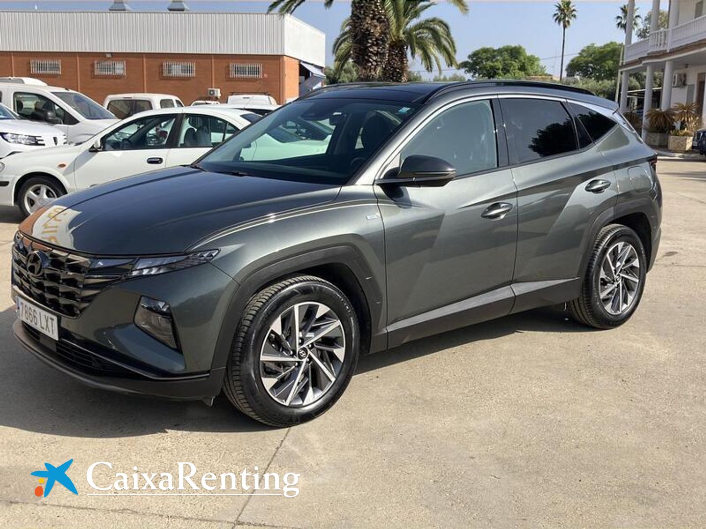 Hyundai Tucson 1.6 TGDI 48V Tecno Sky 110 kW (150 CV) Gris SUV