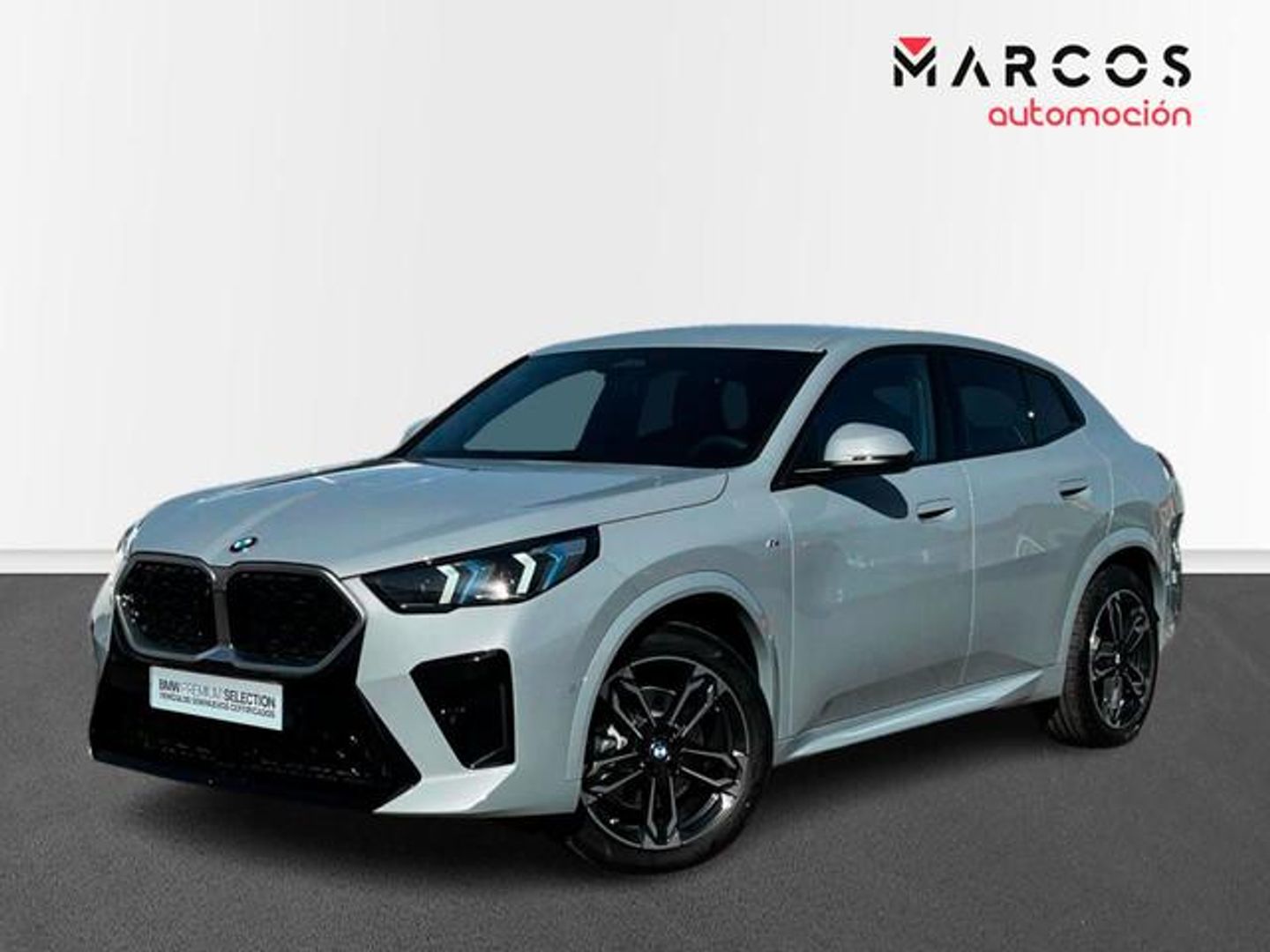 BMW X2 sDrive20i 125 kW (170 CV) Gris SUV