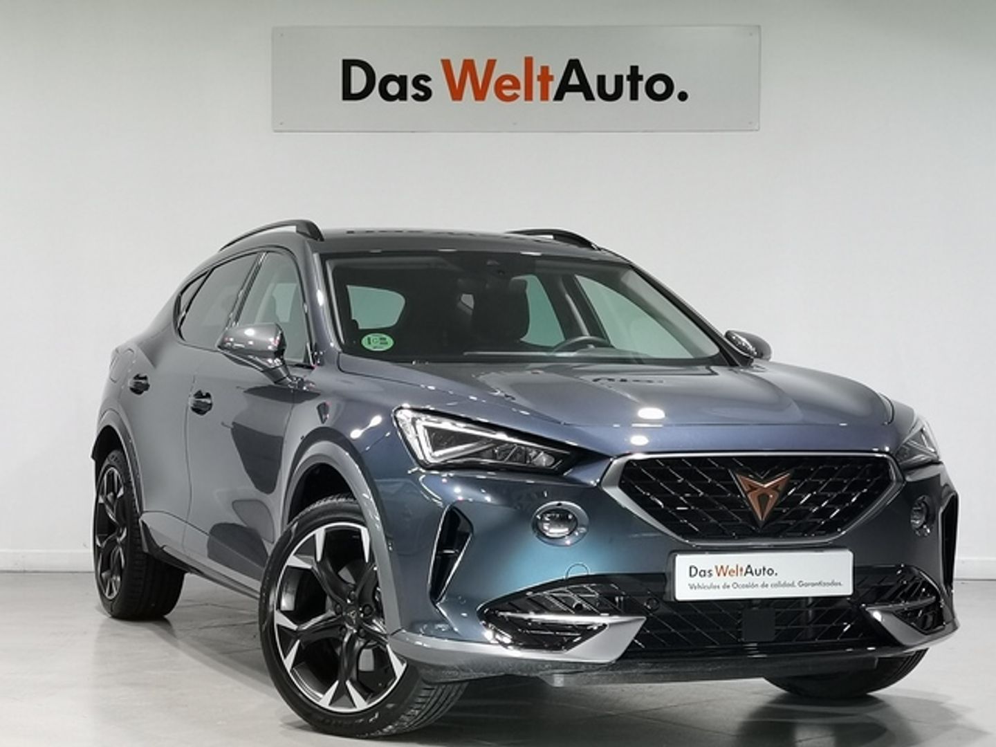 CUPRA Formentor 1.5 TSI DSG 110 kW (150 CV) Gris SUV