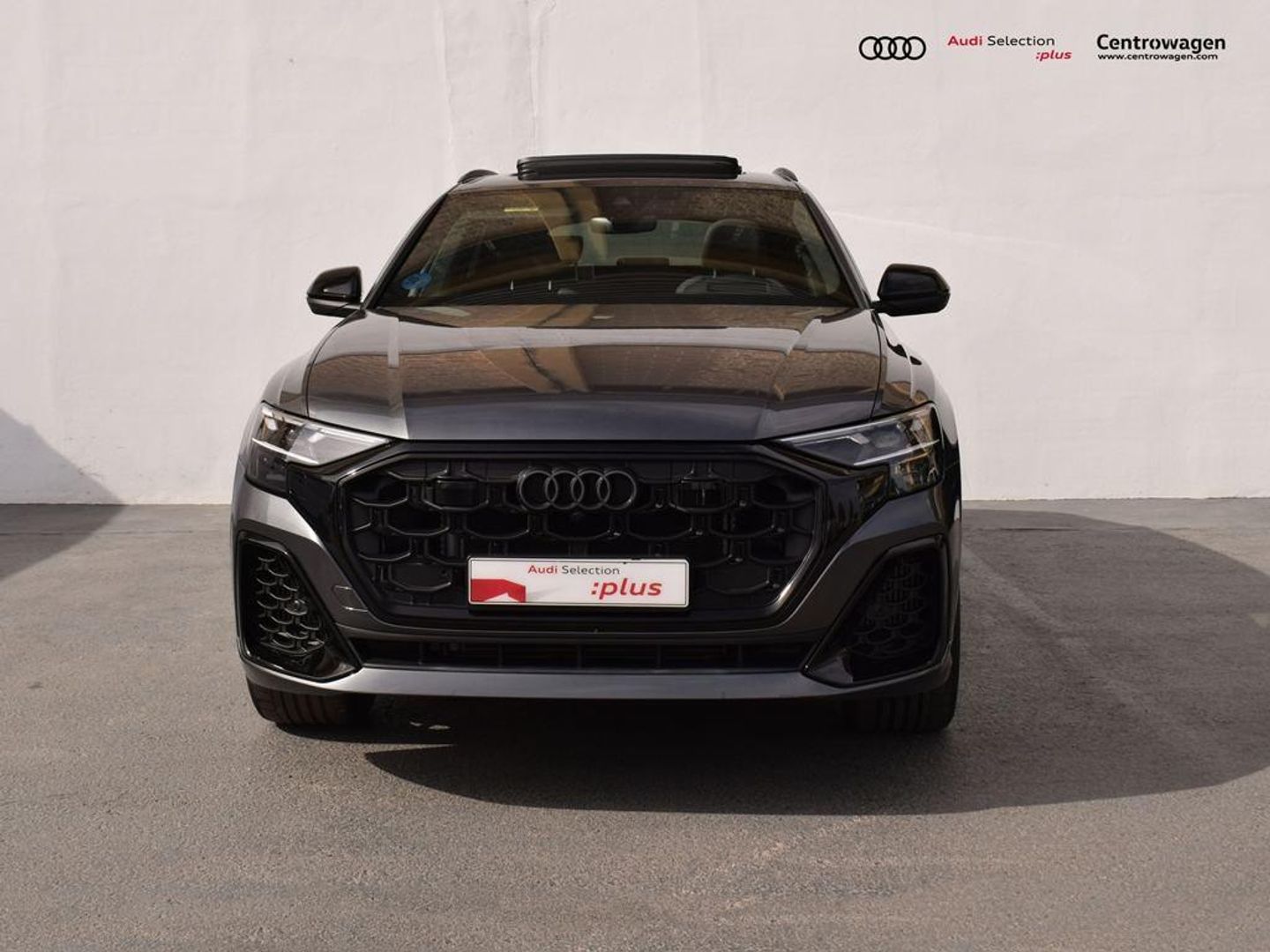 Audi Q8 Black line 60 TFSIe quattro 360 kW (490 CV) tiptronic