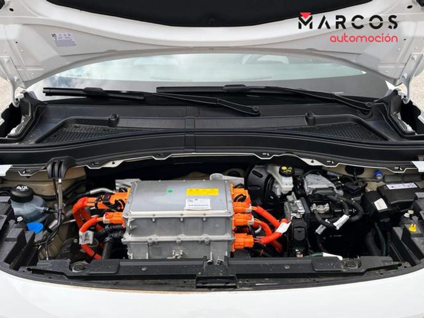 Citroen ë-C3 Eléctrico You Pack Plus 83 kW (113 CV)