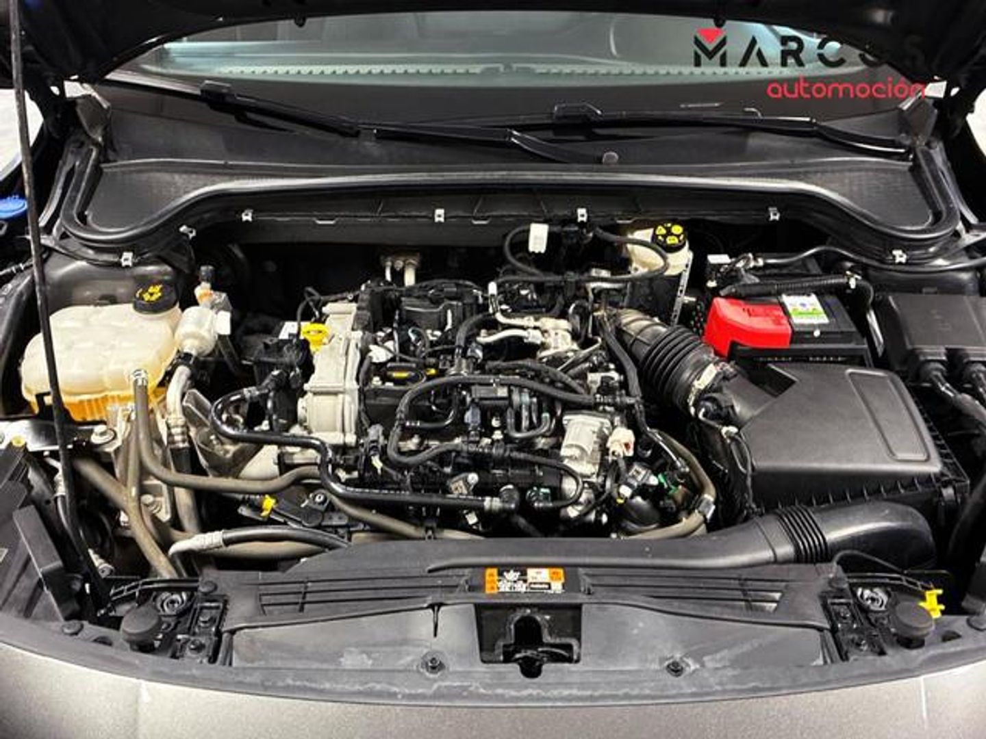 Ford Focus 1.0 Ecoboost MHEV ST-Line X 92 kW (125 CV)