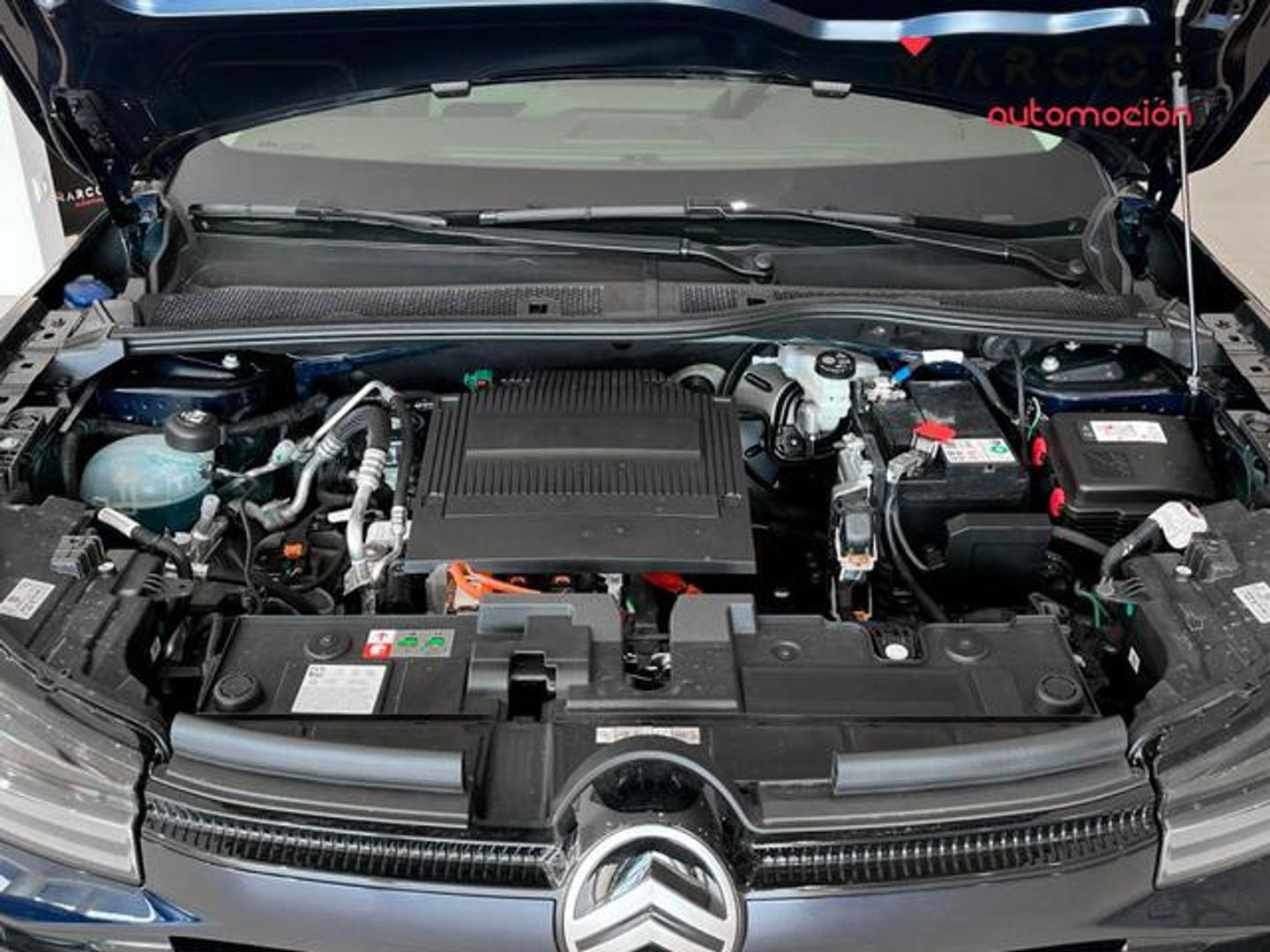 Citroen ë-C4 eléctrico 50kWh Plus 100 kW (136 CV)