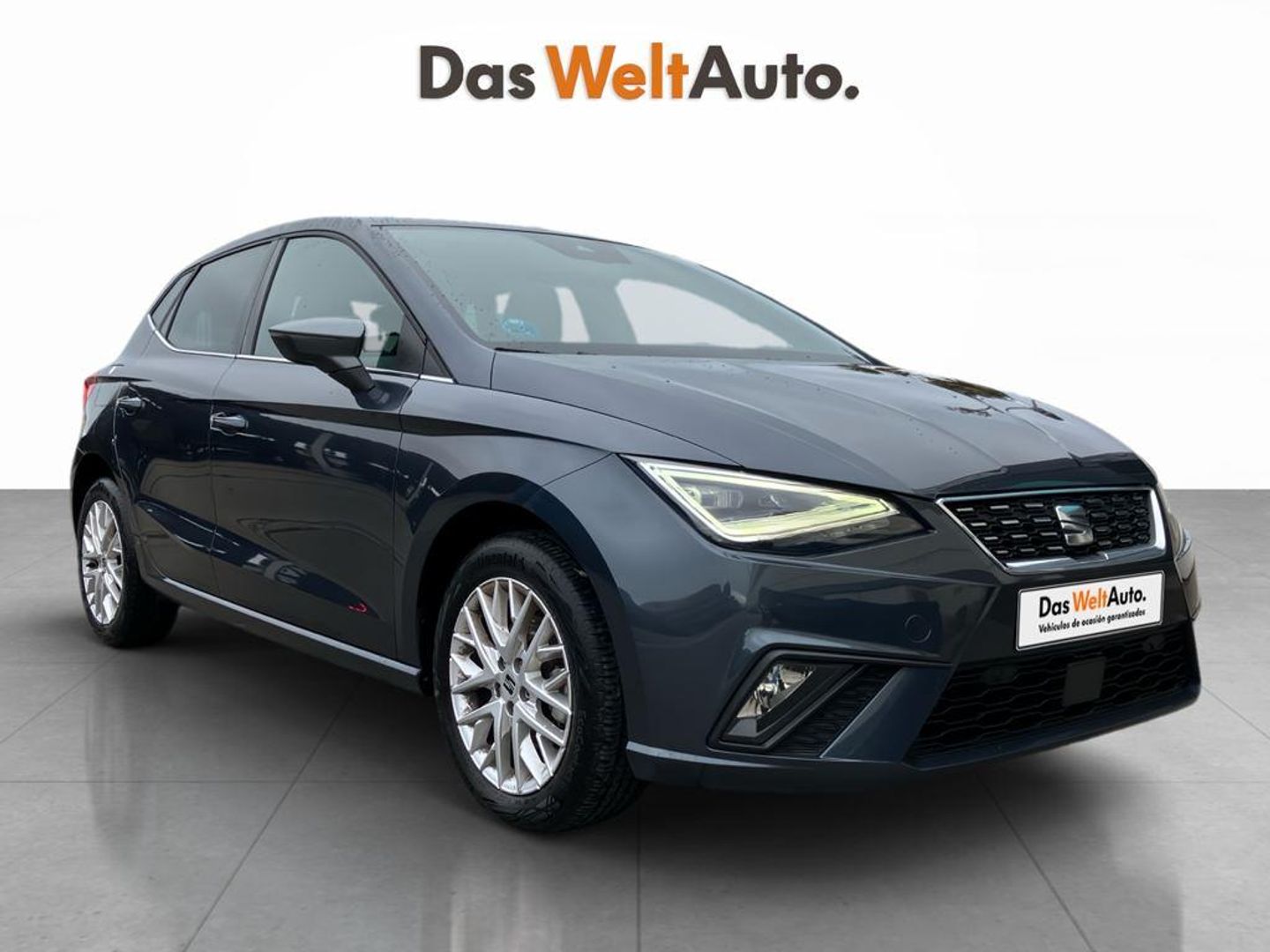 SEAT Ibiza 1.0 TSI Special Edition 85 kW (115 CV) Gris Sedan