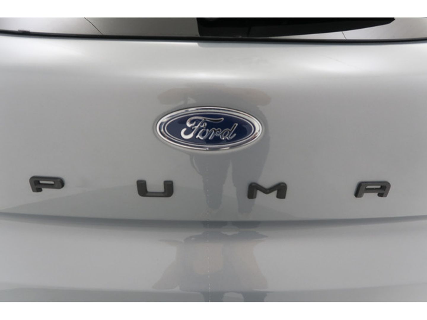Ford Puma 1.0 EcoBoost MHEV ST-Line X 92 kW (125 CV)