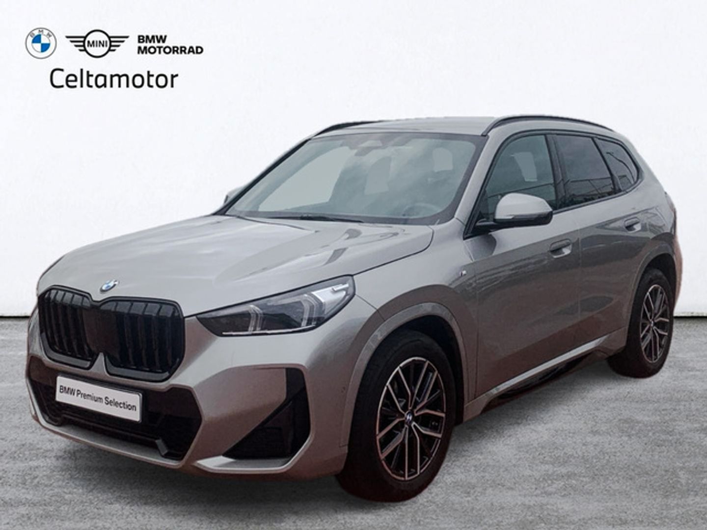 BMW X1 xDrive20d 120 kW (163 CV) Gris Plata SUV