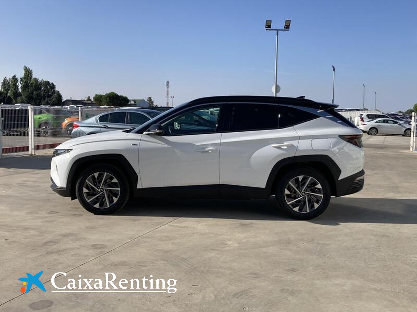 Hyundai Tucson 1.6 CRDI 48V Tecno 4X2 DCT 100 kW (136 CV)