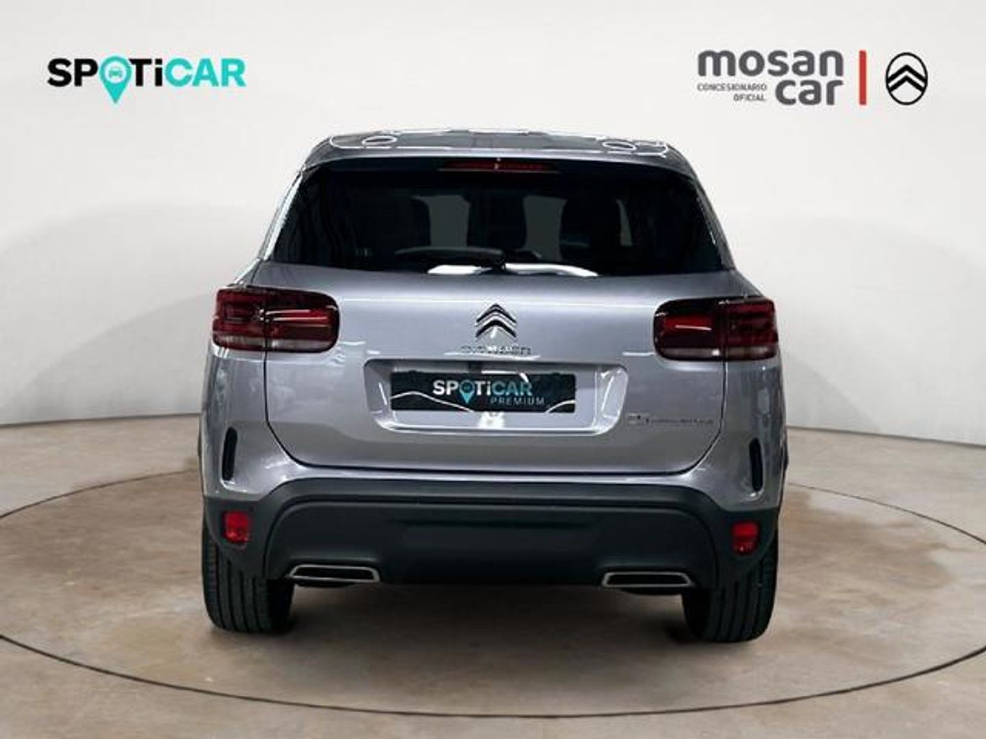 Citroen C5 Aircross PureTech 130 S&S Plus 96 kW (131 CV)