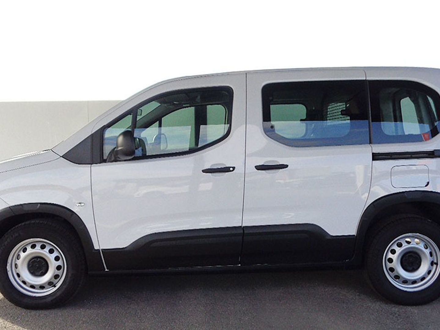 Peugeot Rifter Active Pack Business BlueHDi 73 kW (100 CV)