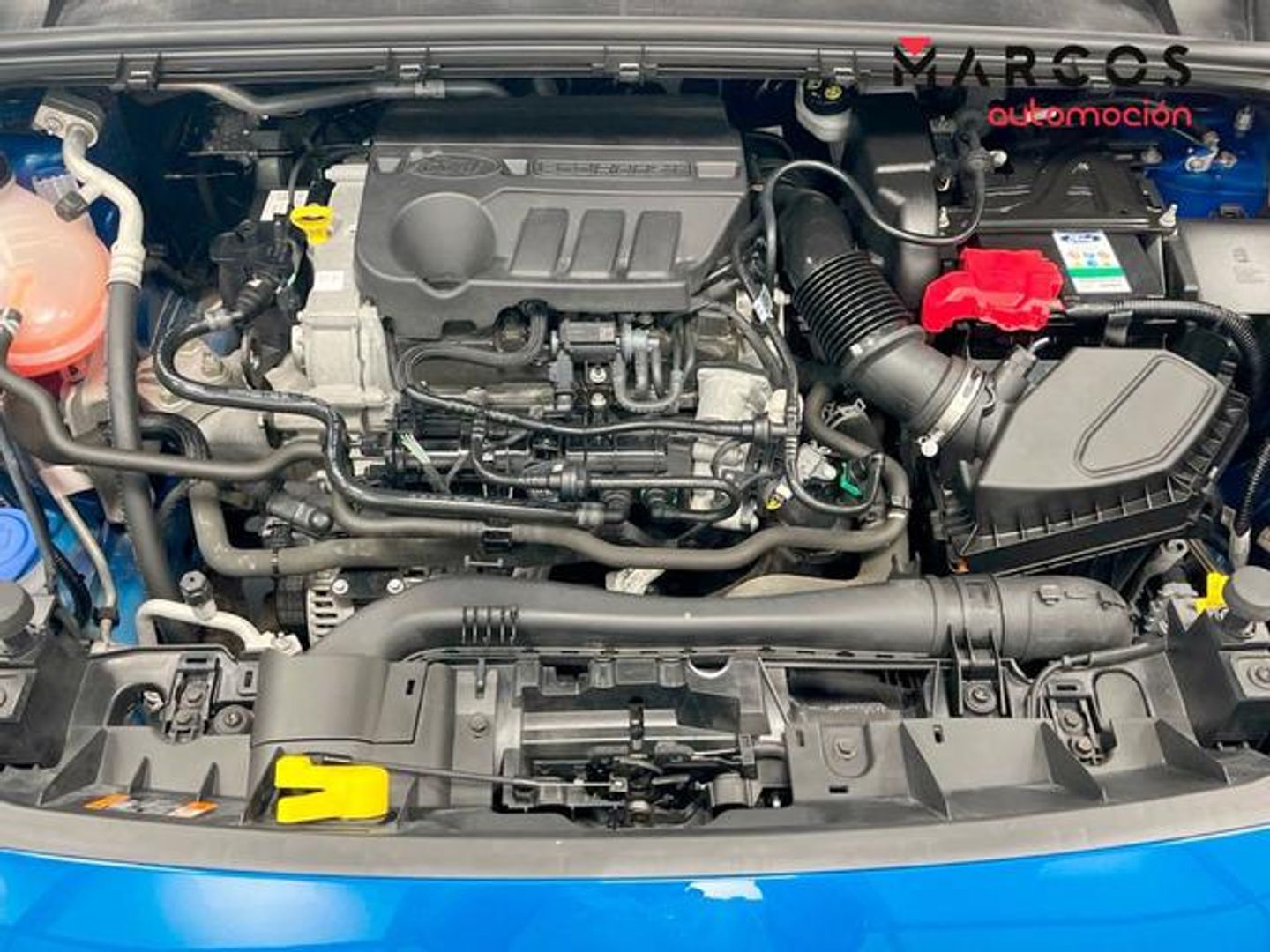 Ford Puma 1.0 EcoBoost MHEV ST-Line 92 kW (125 CV)