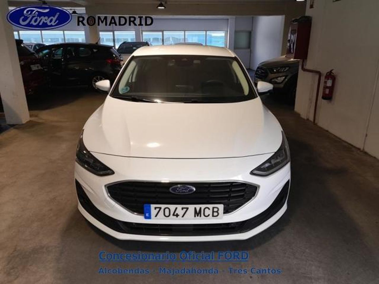 Ford Focus 1.5 Ecoblue Active X Auto 88 kW (120 CV)