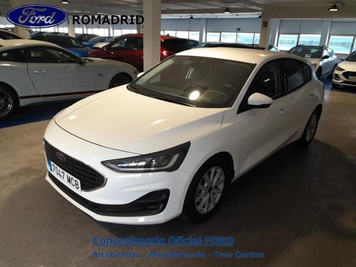 Ford Focus 1.5 Ecoblue Active X Auto 88 kW (120 CV)