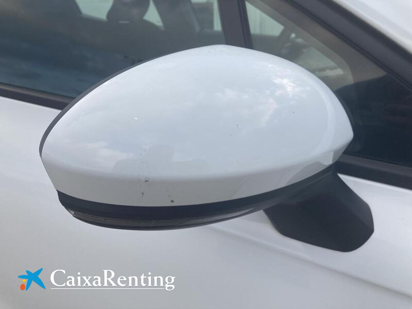Renault Clio Intens TCe 66 kW (90 CV)