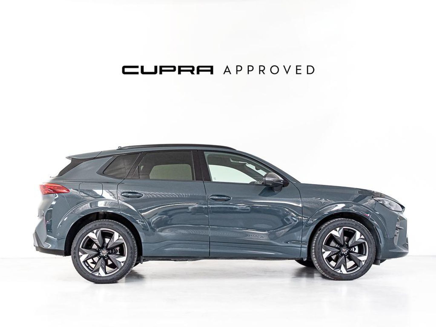 CUPRA Terramar 1.5 eTSI DSG 110 kW (150 CV)