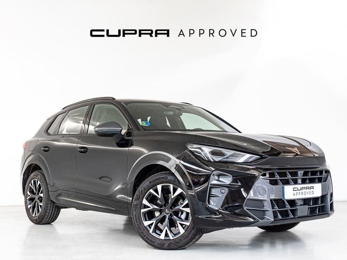 CUPRA Terramar 1.5 eTSI DSG 110 kW (150 CV) Negro SUV
