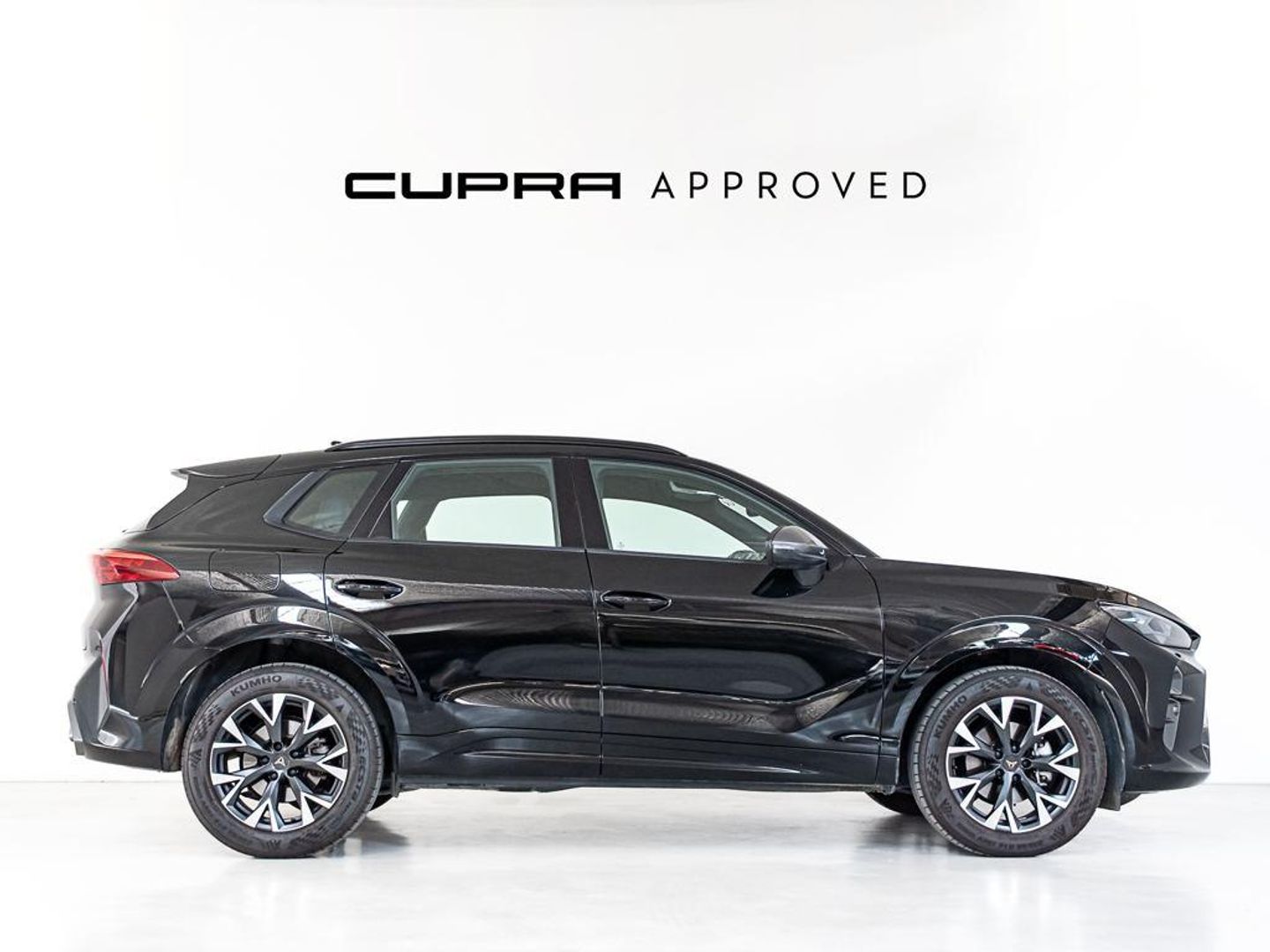 CUPRA Terramar 1.5 eTSI DSG 110 kW (150 CV)