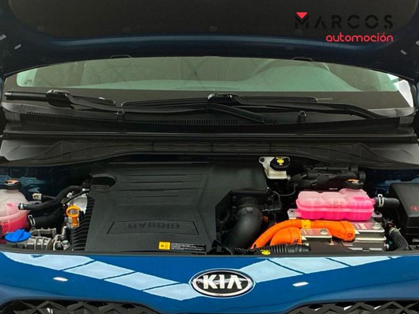 Kia Niro 1.6 GDi HEV Concept 104 kW (141 CV)