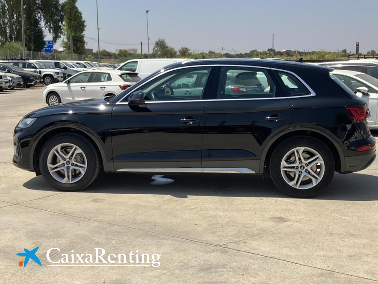 Audi Q5 Advanced 35 TDI 120 kW (163 CV) S tronic