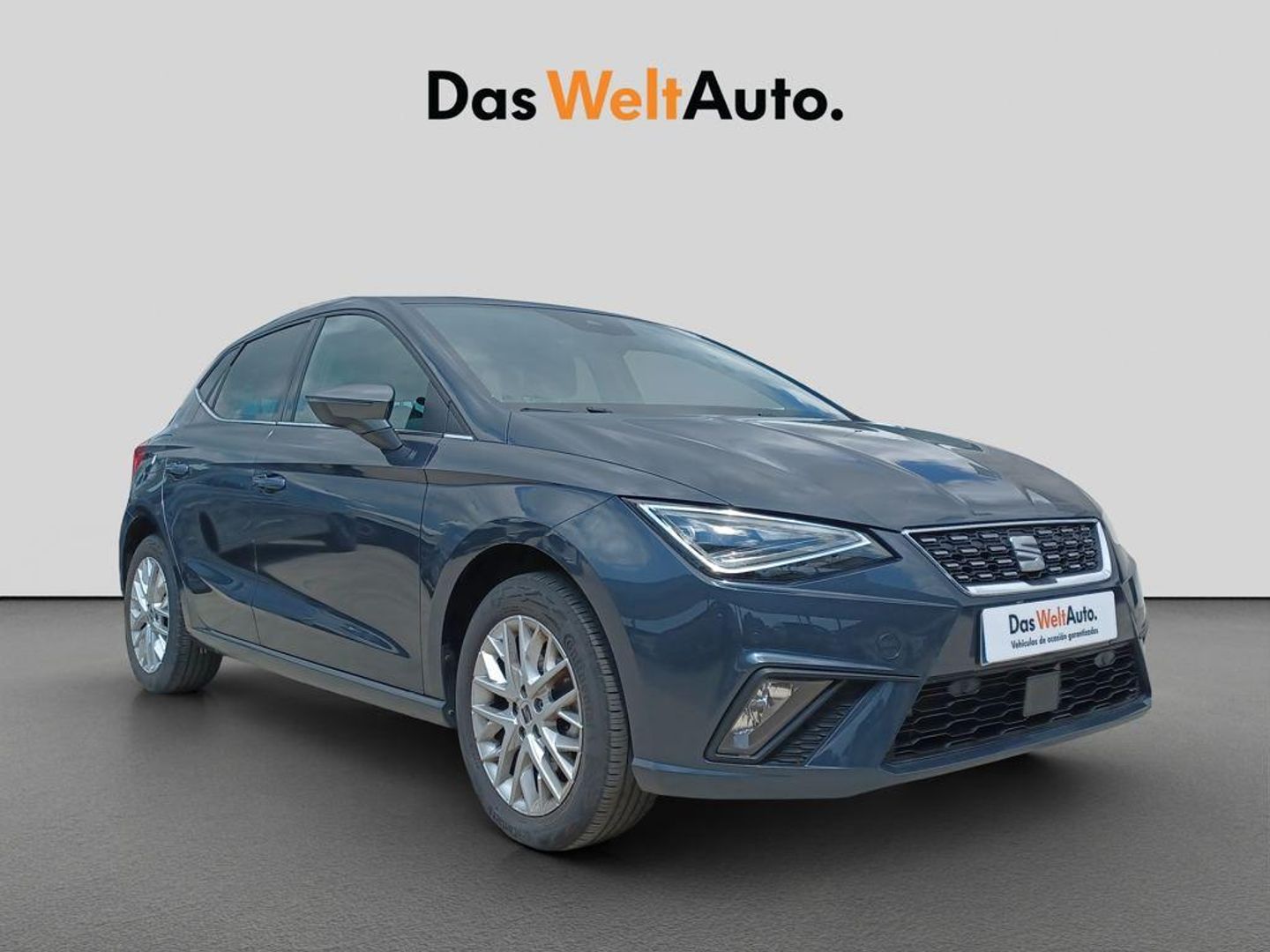 SEAT Ibiza 1.0 TSI Special Edition 85 kW (115 CV) Gris Sedan