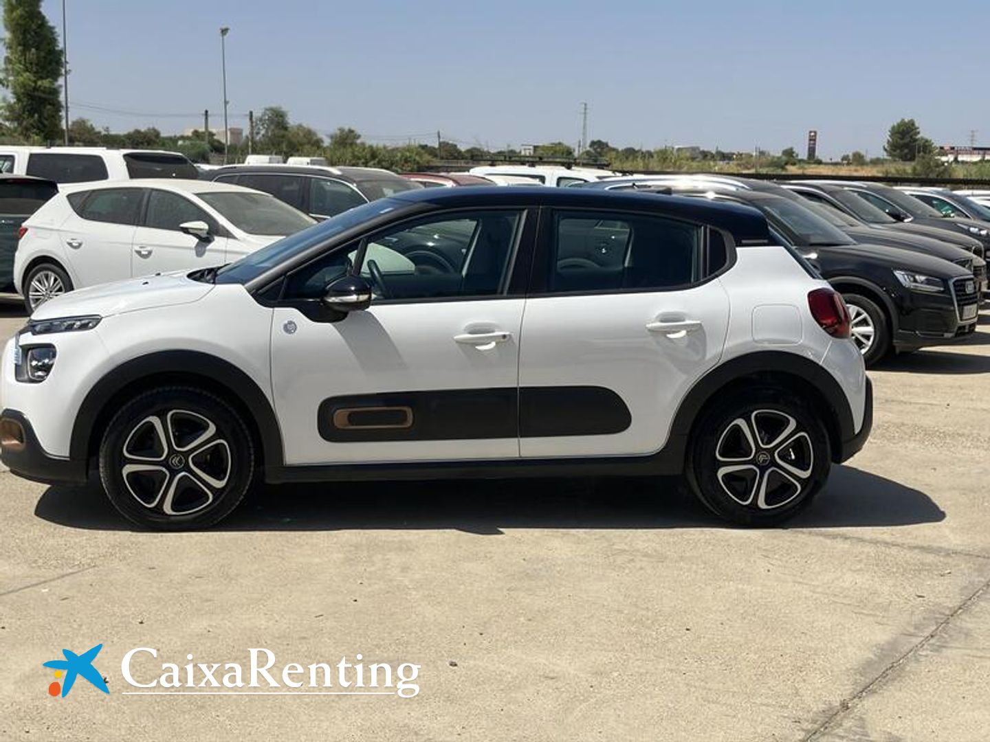 Citroen C3 BlueHDi 100 S&S C-Series 75 kW (102 CV)