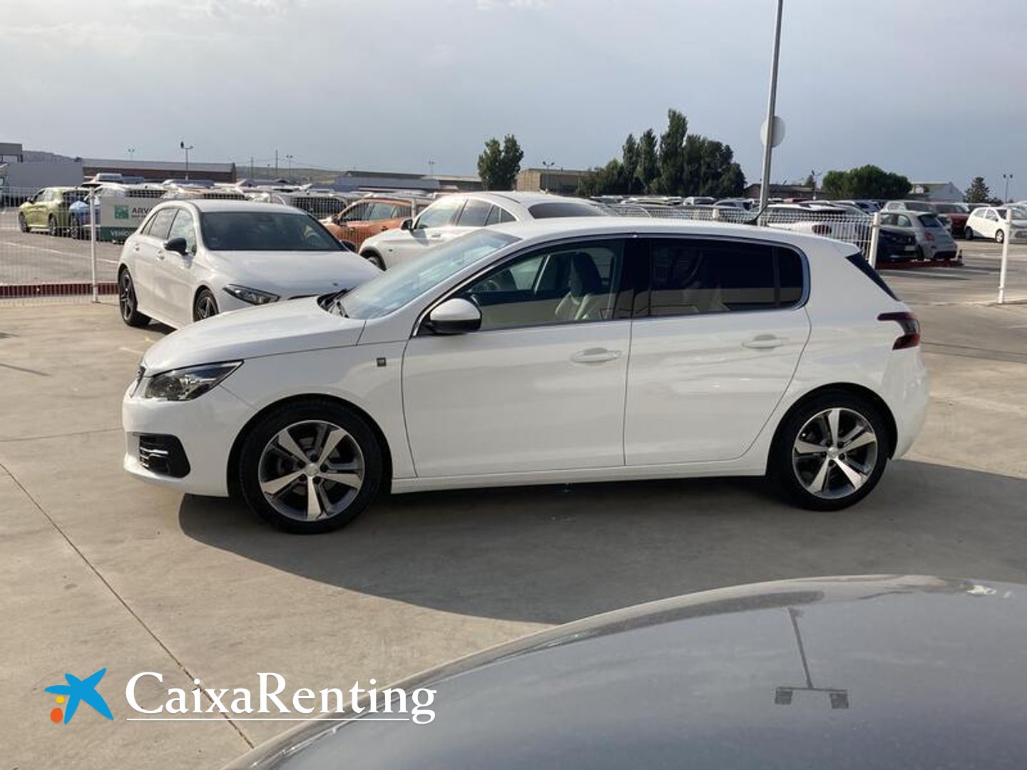 Peugeot 308 BlueHDi 130 S&S Tech Edition 96 kW (130 CV)
