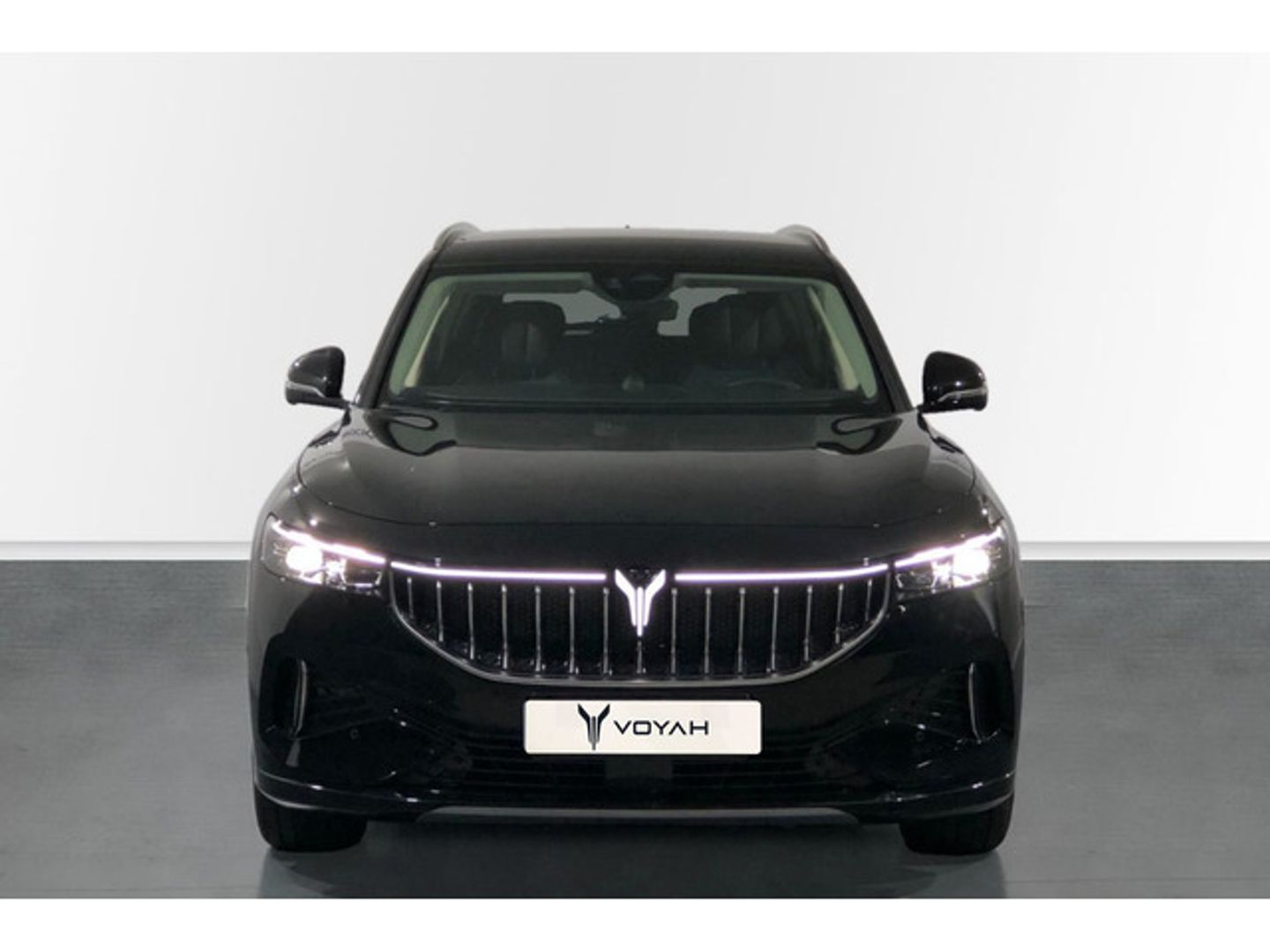 Voyah Free 107kW Luxury 360 kW (489 CV)