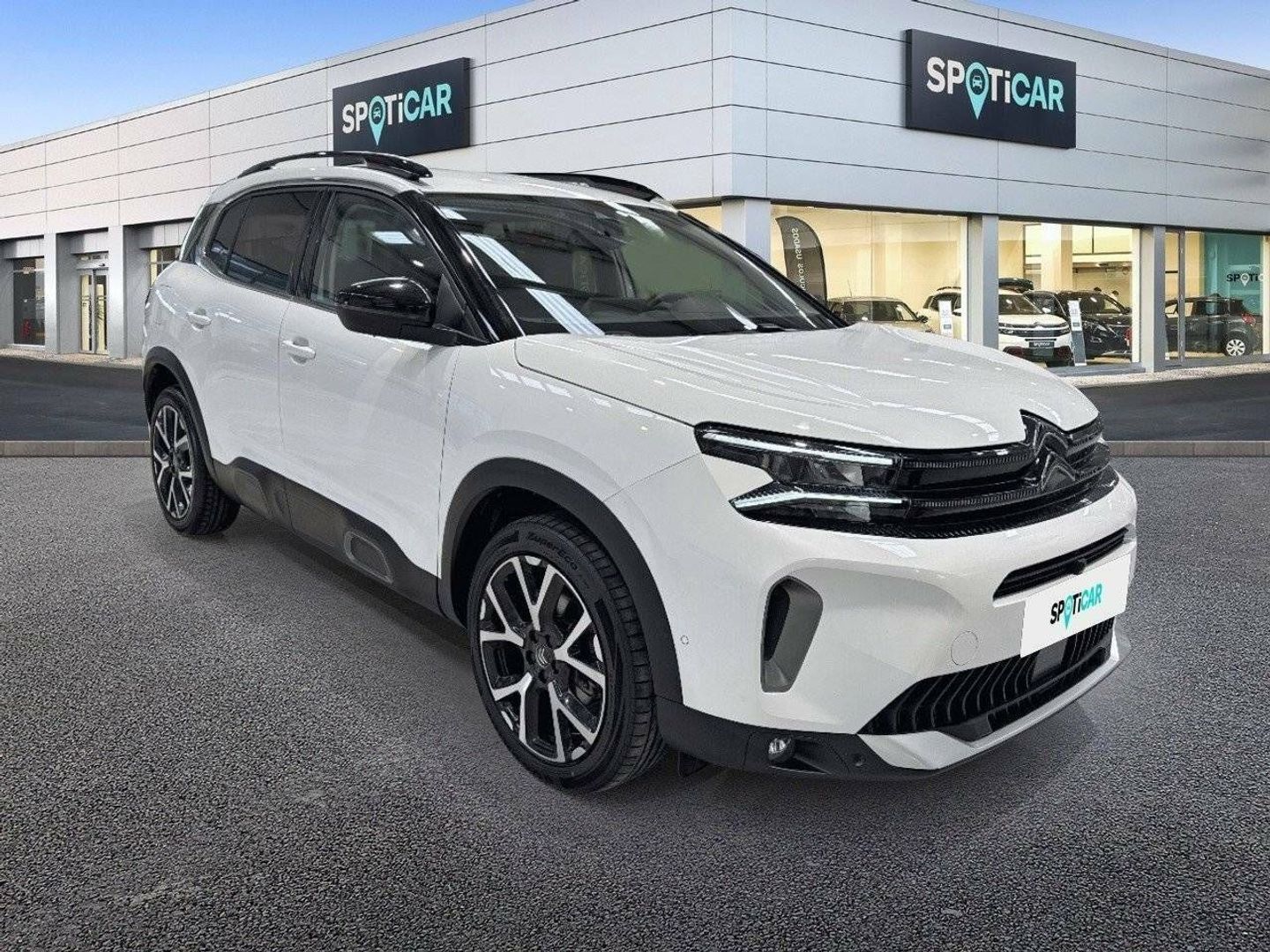Citroen C5 Aircross BlueHdi 130 S&S Shine Pack EAT8 96 kW (131 CV)