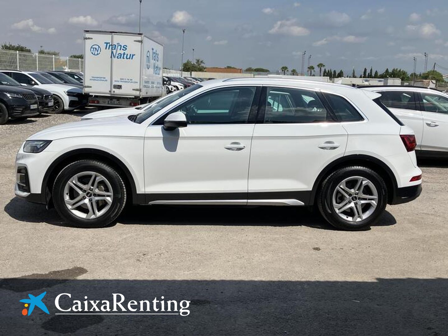 Audi Q5 Advanced 35 TDI 120 kW (163 CV) S tronic
