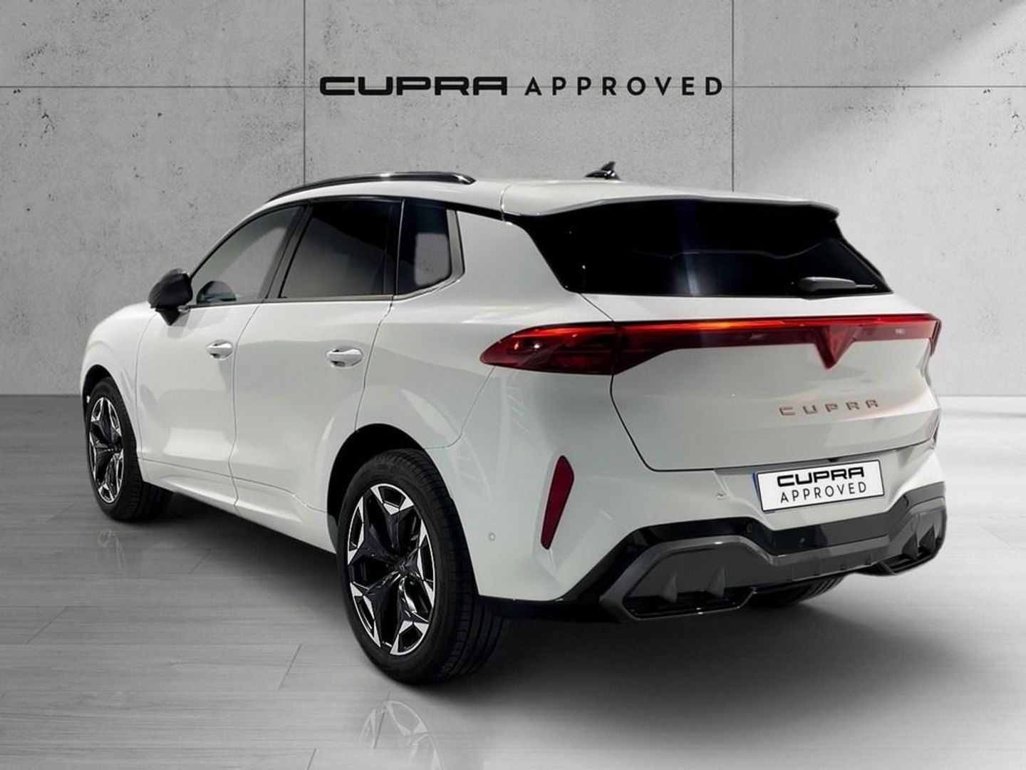 CUPRA Terramar 1.5 eTSI DSG 110 kW (150 CV)