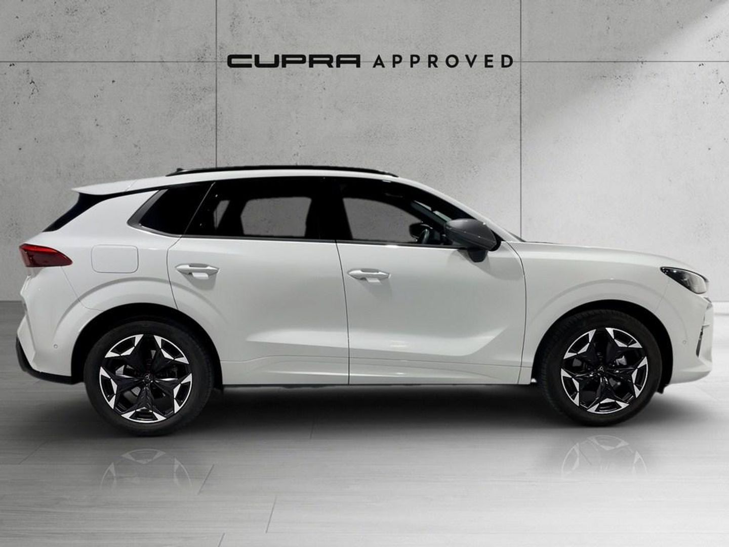 CUPRA Terramar 1.5 eTSI DSG 110 kW (150 CV)