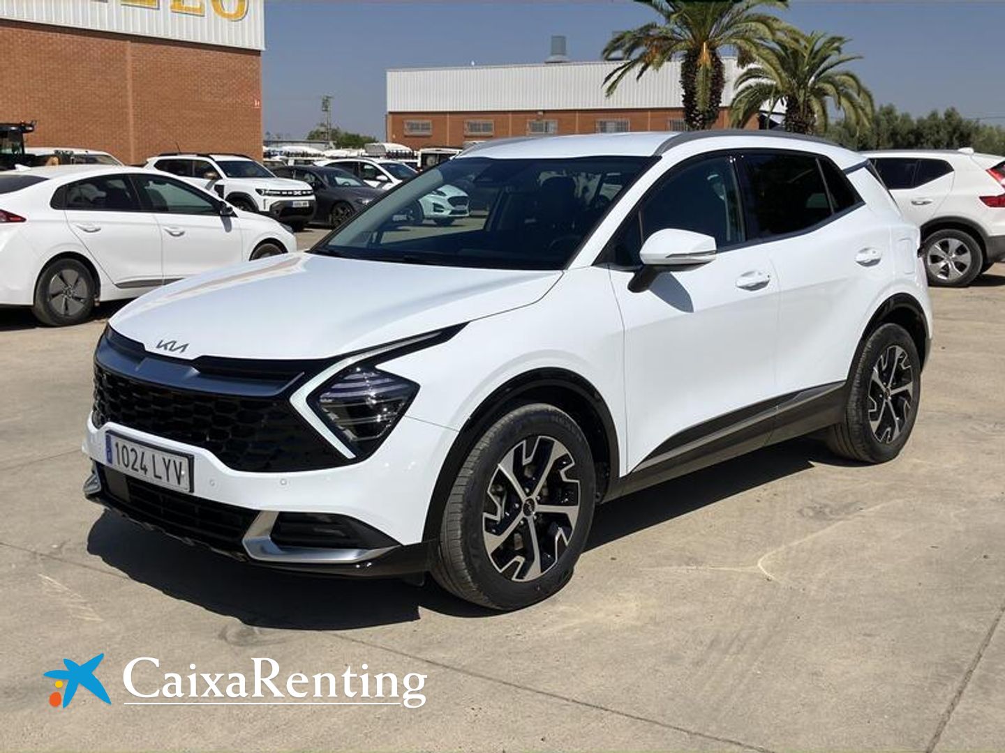 Kia Sportage 1.6 T-GDi HEV Tech 4x2 171 kW (230 CV) Blanco SUV